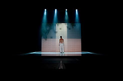  La salle de bain [Jean-Philippe Toussaint]